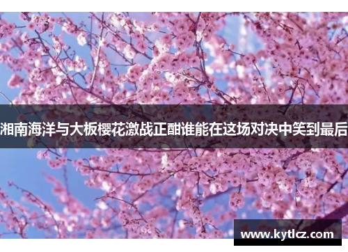 湘南海洋与大板樱花激战正酣谁能在这场对决中笑到最后