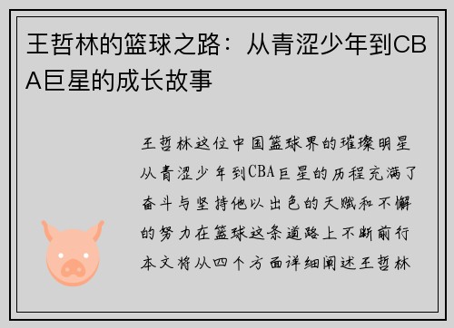 王哲林的篮球之路：从青涩少年到CBA巨星的成长故事